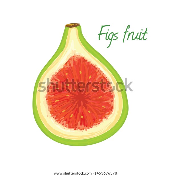 Figs Fruit Doodle Drawings Vector Illustration Stock Vector (Royalty