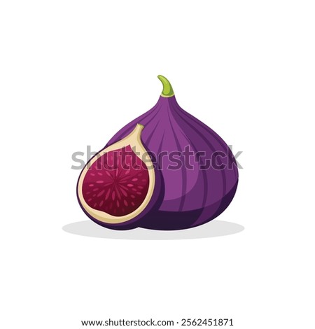 Figs fruit isolated flat vector illustration on white background.
