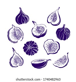 Juego de frutas con higos. Forma monocroma vectorial. Comida fresca, pulpa jugosa. Colección aislada en el fondo blanco. Ilustración artística, signo. Embalse dulce natural de verano