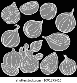 Figs fruit vector illustration, vector