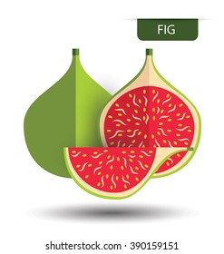 Figs fruits, fruit vector illustration