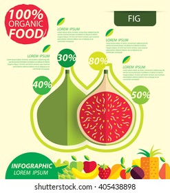 Figs fruits. Infographic template. vector illustration.