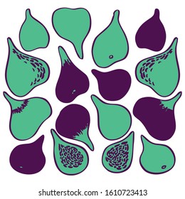 Figs. Figs fruits in simple graphic style. Silhouette isolated. Sectional pulp and fruit from different angles. Sketch in green and purple colors on white background. Elegant design