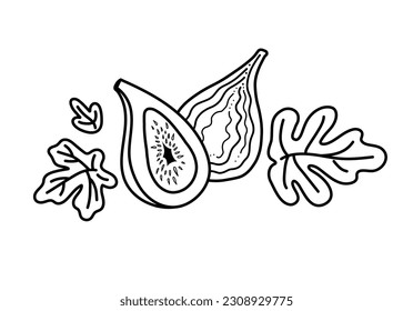 Figs, half and whole fruit and leaves. Vector black line illustration isolated on white background.