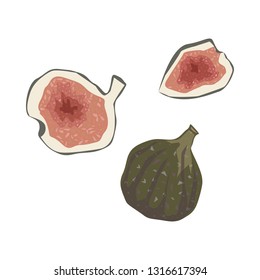 Figs. Hand drawn creative illustration.  Pieces of fig and the whole fruit. The view from the top. 