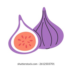 Figs hand drawn exotic fruit