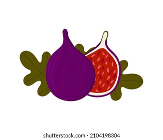 figs isolated on white background. Summer tropical fruit. Whole ripe purple fruit, juicy half and rich green leaves. Stylized image. Doodle. Vector illustration