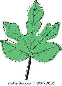 Figs leaf. Plant leaf from tropical forests isolated on white background. Abstract minimal vector illustration. Can be used for greeting cards, flyers, invitations, web design, etc