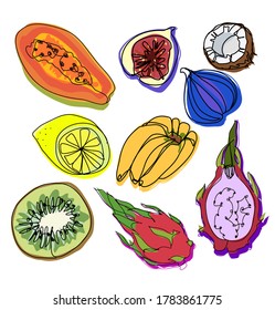 Figs, papaya, dragon fruit, kiwi, banana, lemon, coconut vector set vegan raw food tropical illustration icon