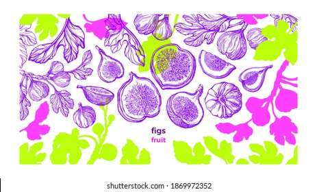 Figs plant template. Vector fresh plantation. Hand drawn color sketch, art pattern on white background. Botanical tree, summer fruits, texture leaf. Sweet exotic food
