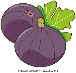 Figs, purple, green leaf, white background