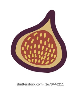 Figs Ripe figs. Vector illustration of ripe figs. Vector illustration
