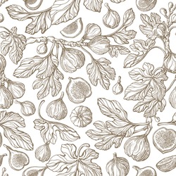 Figs Seamless Pattern. Vector Antiquity Garden, Vintage Tree, Fruit, Texture Leaf. Art Hand Drawn Illustration On White Background. Botanical Texture Sketch Fruit. Organic Harvest. Graphic Old Print
