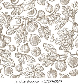 Figs seamless pattern. Vector antiquity garden, vintage tree, fruit, texture leaf. Art hand drawn illustration on white background. Botanical texture sketch fruit. Organic harvest. Graphic old print
