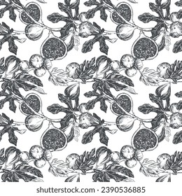 Figs seamless pattern. Vector hand drawn illustration on white background. Botanical fruit sketch texture. Graphic old print, engraving technique. Design for fabric, wrapping paper, wallpaper.
