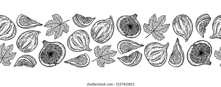 Fija un borde vectorial sin fisuras. Dulces frutas de jardín enteras, medias, tajadas. Esbozo de bayas frescas con hojas. Esquema monocromo de planta exótica. Línea botánica dibujada a mano. Alimentación saludable natural