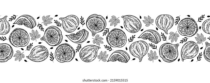 Figs seamless vector border. Sweet garden fruits whole, half, slice. Sketch of fresh berry with branches, leaves. Monochrome outline of mediterranean plant. Hand drawn botanical line art