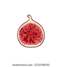 Rebanada de higos aislada sobre fondo blanco. Pedazo de higos. Fruta de higo plana simple. 