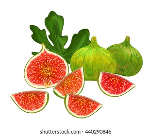  figs with slice and leaf isolated on white background. Vector illustration. Hand drawn
