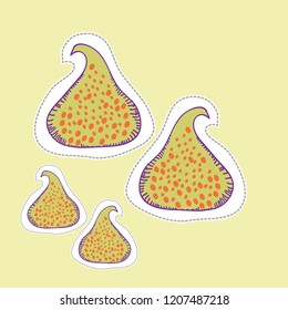 Figs , spots, seeds  dashed lines, labels pattern. Hand drawn.