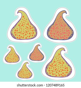 Figs , spots, seeds  dashed lines, labels pattern. Hand drawn.