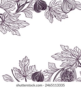 Figs square frame. Twig with fruits and leaves. Vector illustration. Graphic. Cards, invitations, food and cosmetic labels, menus, banners, posters.