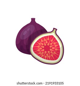 Figs, tropical fruit vector illustration. Cartoon isolated whole exotic fresh fruit, cut in half with seeds texture for summer healthy dessert, ripe figs for eating and food ingredient for cooking