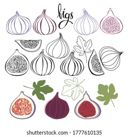 Figs. Vector hand-drawn illustration on a white background. Collection of isolated elements for design.