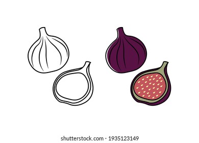 
Figs vector illustration. Figs for coloring book. Natural fresh farm food for healthy nutrition isolated on white background