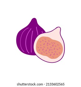 figs whole and half hand drawn. 