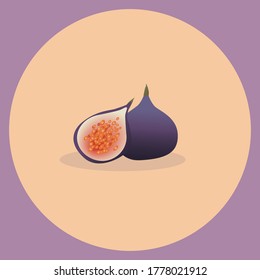 Figs.Fresh fruit.Realistic Fruit. Vector illustration.