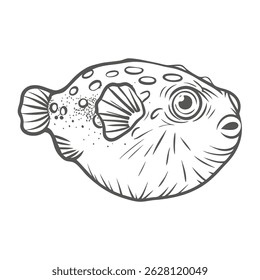 Figura 8 Ilustración vectorial del contorno de los peces globo
