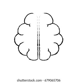 figure anatomy brain to imagination and memory inspiration