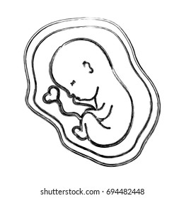 figure baby with umbilical cord inside uterus
