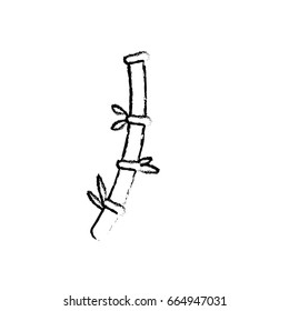 figure bamboo twig natural china ecology