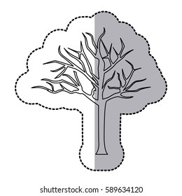 figure bare oak tree icon, vector illustraction design image