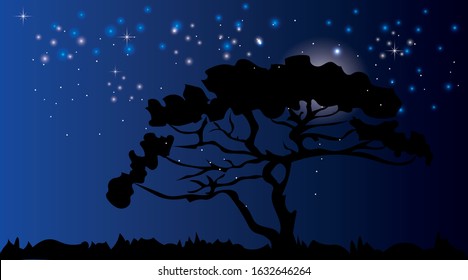 Figure, beautiful wood on the background of the night starry sky