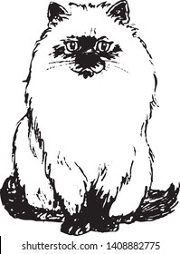 Figure black cat, on a white background, close-up, vector