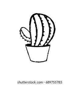 figure botanic cactus plant of the desert nature