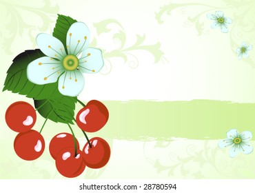 Figure of a branch cherry with berries and colors