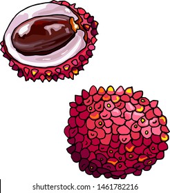 figure bright exotic lychee fruit
