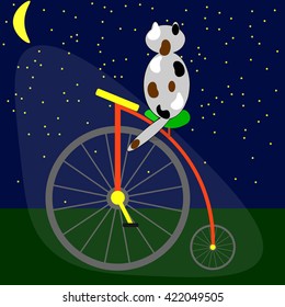 the figure cat sitting on the bike and looking at the night sky