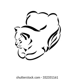 Figure cats black lines on a transparent background. Vector illustration.