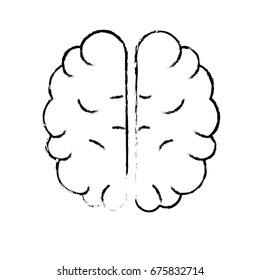 figure creative brain with idea over white background