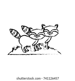 figure cute raccoon animal couple together