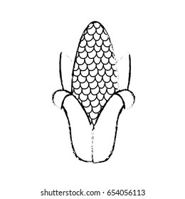 figure delicious cob to eat organic food