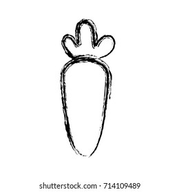 figure delicious fresh carrot vegetable nutrition