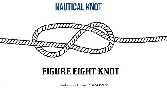 Figure eight knot on white background, vector illustration
