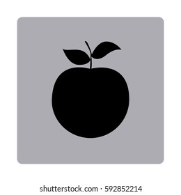 figure emblem apple fruit icon, vector illustraction design image