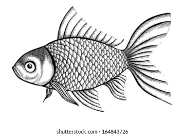 figure fish painted in a graphic style points and lines. A great figure for a tattoo